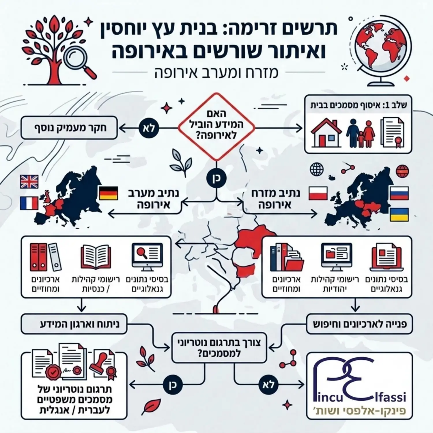 תרשים זרימה המציג את השלבים לבניית עץ יוחסין גנאלוגי לצורך איתור שורשים במזרח ומערב אירופה הכולל איסוף מסמכים בבית פניה לארכיונים ותרגום נוטריוני