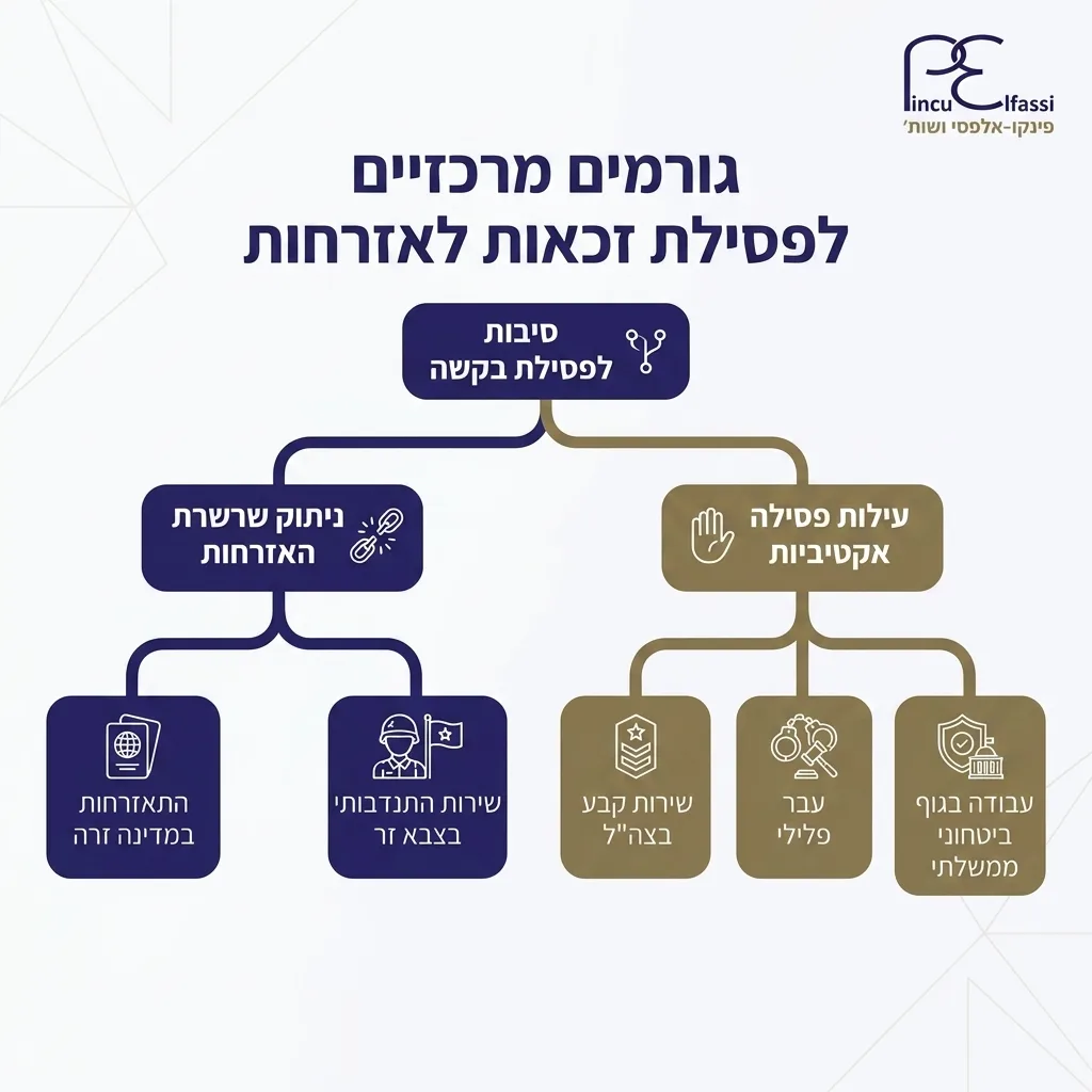 אינפוגרפיקה — גורמים מרכזיים לפסילת זכאות לאזרחות: סיבות לפסילת בקשה