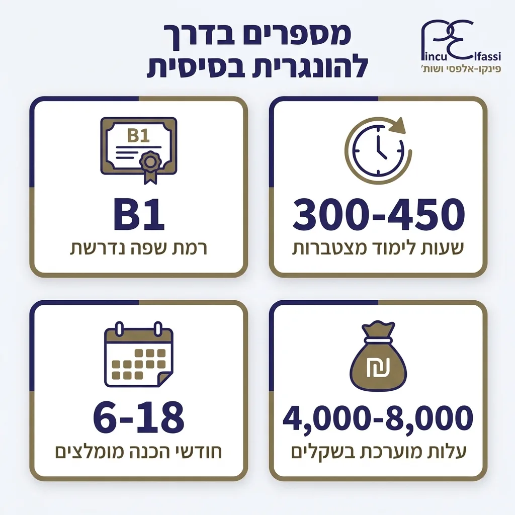 אינפוגרפיקה — מספרים בדרך להונגרית בסיסית: רמת שפה נדרשת, שעות לימוד מצטברות, חודשי הכנה מומלצים, עלות מוערכת בשקלים