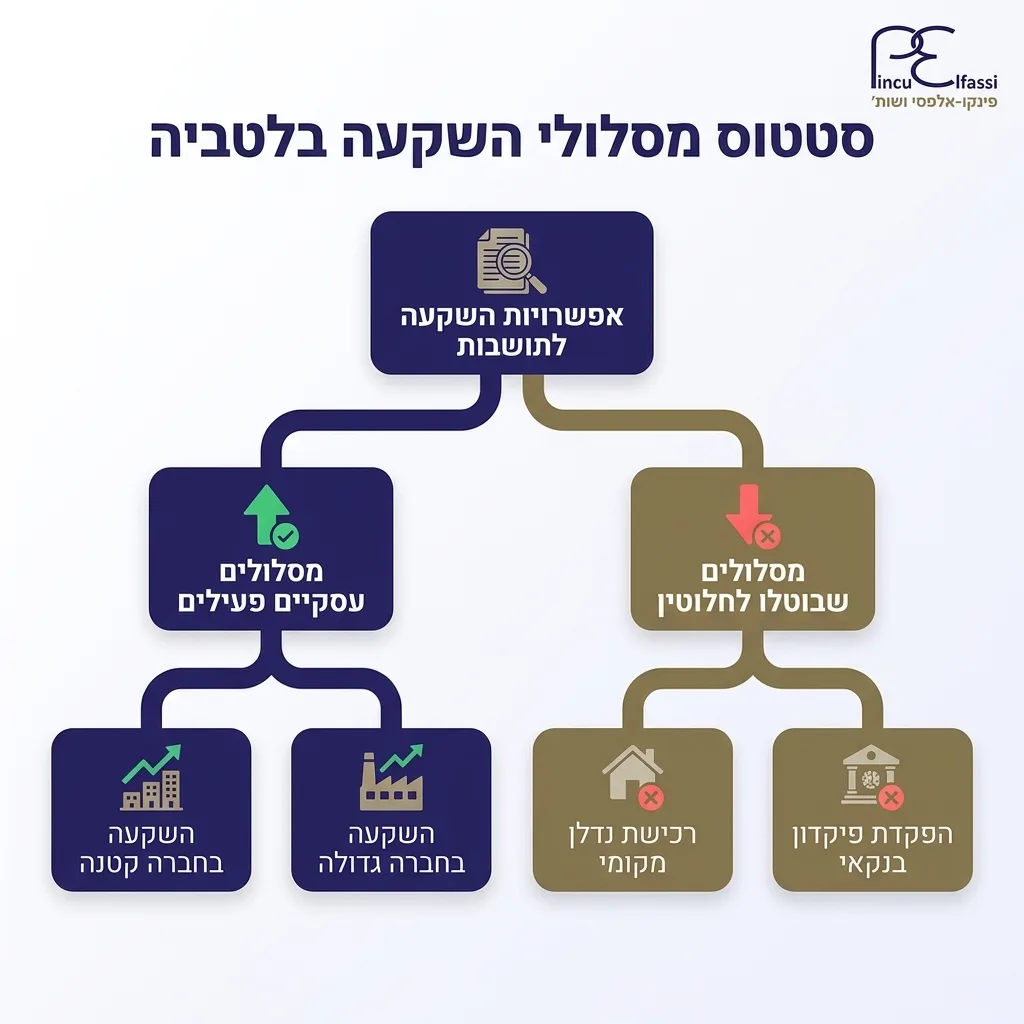 אינפוגרפיקה — סטטוס מסלולי השקעה בלטביה: אפשרויות השקעה לתושבות